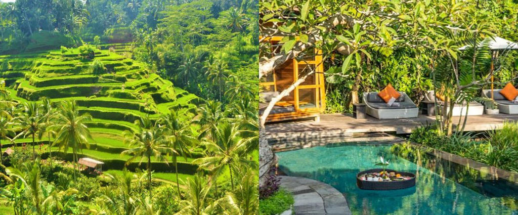 Échappée balinaise en trois escales - Combiné de 7, 9, 10, 12 ou 14 nuits en trois étapes relaxantes, de Ubud à Sanur en passant par Banyuwedang. - Bali : Ubud, Banyuwedang, Sanur