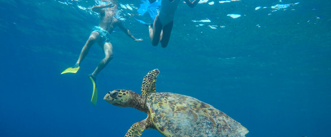 The Barefoot Eco Hotel ★★★★ - Vivez la vie tranquille aux Maldives, en immersion dans une nature luxuriante et son écrin turquoise. - Maldives