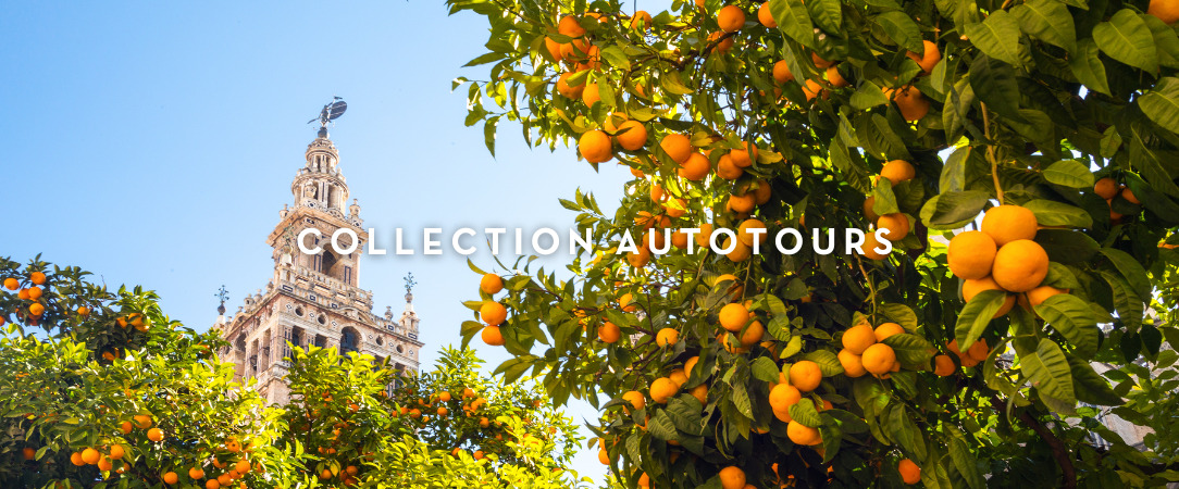 Au cœur de l'Andalousie -  - Andalousie, Espagne