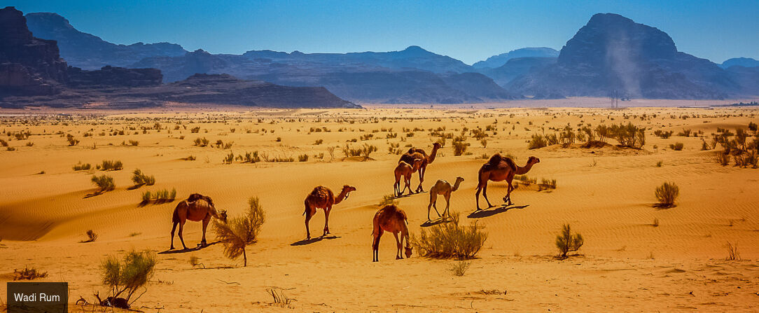 Circuit privatif : Sur les traces des trésors et des saveurs de Jordanie -  - Jordanie