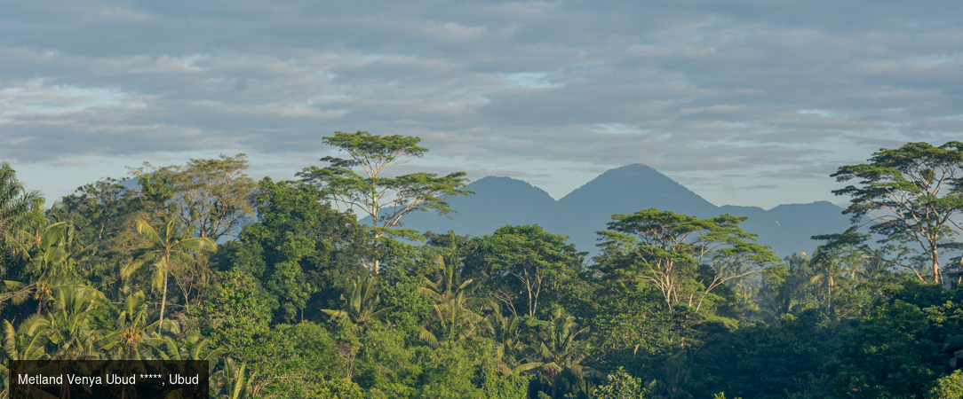 Découverte de la beauté indonésienne en hôtels 5 étoiles - Combiné balinais de 7 à 18 nuits, entre les collines paisibles d’Ubud et les plages ensoleillées de Seminyak. - Bali : Ubud & Seminyak