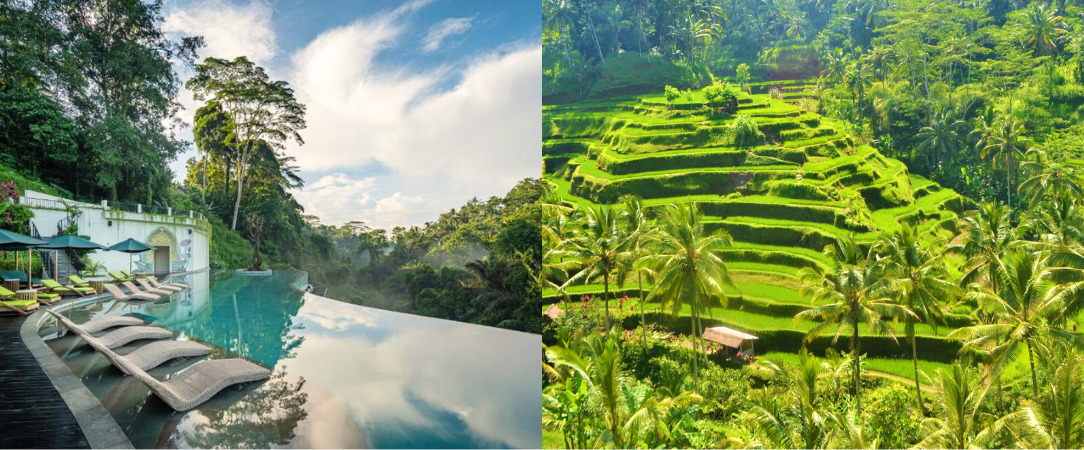 Découverte de la beauté indonésienne en hôtels 5 étoiles - Combiné balinais de 7 à 18 nuits, entre les collines paisibles d’Ubud et les plages ensoleillées de Seminyak. - Bali : Ubud & Seminyak