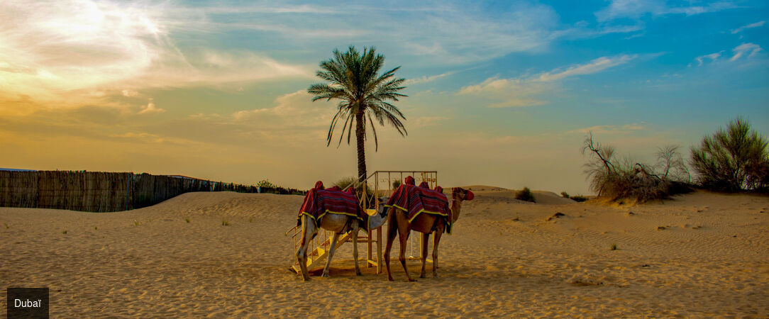 Entre désert, gratte-ciels et traditions - Circuit de 4 nuits entre Dubaï et Abu Dhabi, à la découverte du fascinant contraste entre modernité étincelante, culture orientale et splendeurs du désert. - Émirats arabes unis : Dubaï & Abu Dhabi