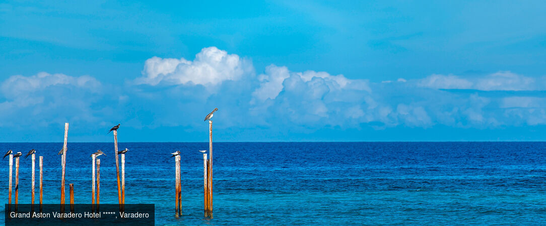 Immersion en trois temps à Cuba - Combiné entre 7 et 14 nuits à Cuba : des merveilles culturelle de La Havane aux plages de Varadero en passant par Viñales. - Cuba : La Havane, Viñales & Varadero