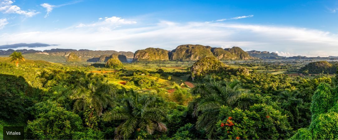 Immersion en trois temps à Cuba - Combiné entre 7 et 14 nuits à Cuba : des merveilles culturelle de La Havane aux plages de Varadero en passant par Viñales. - Cuba : La Havane, Viñales & Varadero