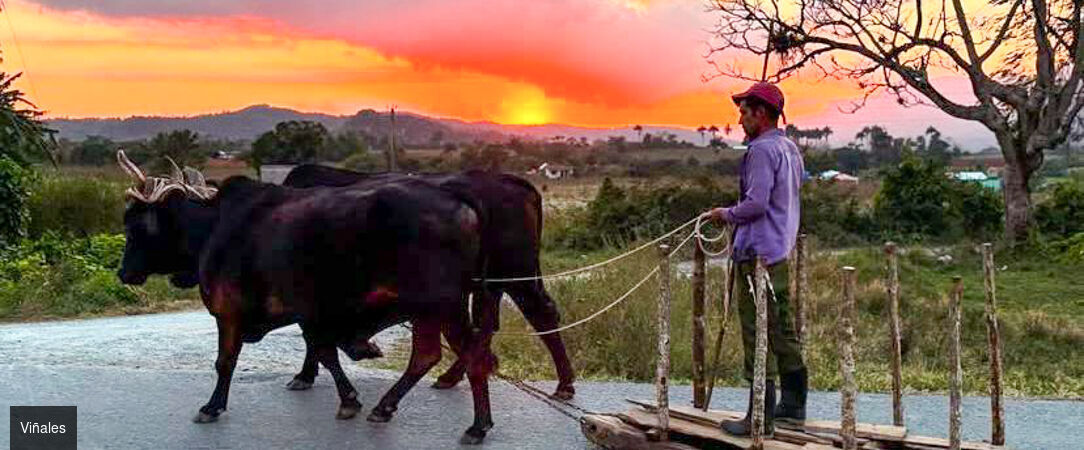 Immersion en trois temps à Cuba - Combiné entre 7 et 14 nuits à Cuba : des merveilles culturelle de La Havane aux plages de Varadero en passant par Viñales. - Cuba : La Havane, Viñales & Varadero