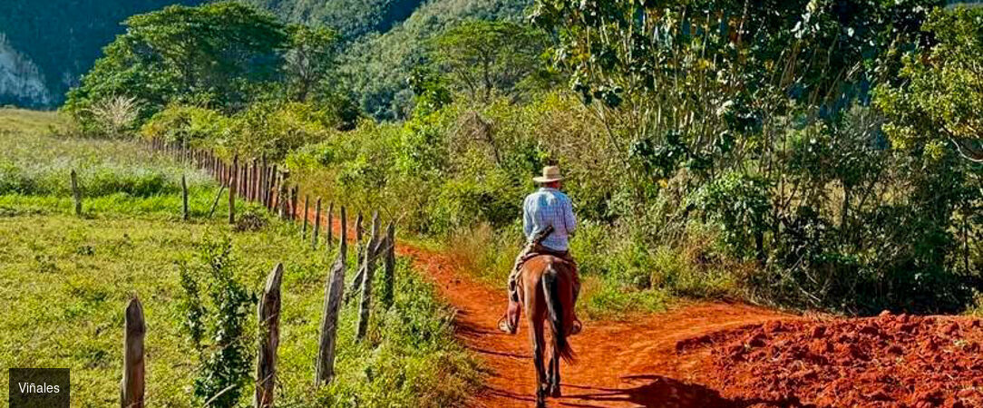 Immersion en trois temps à Cuba - Combiné entre 7 et 14 nuits à Cuba : des merveilles culturelle de La Havane aux plages de Varadero en passant par Viñales. - Cuba : La Havane, Viñales & Varadero