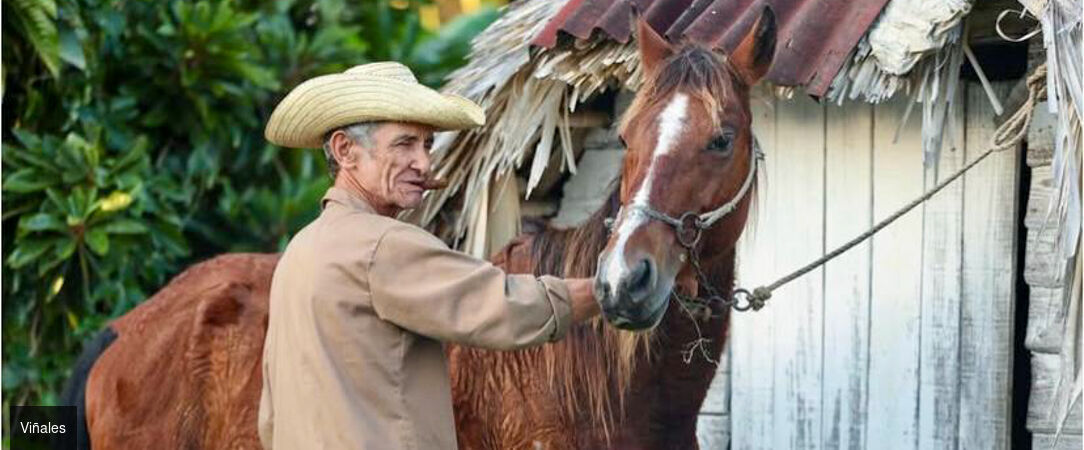 Immersion en trois temps à Cuba - Combiné entre 7 et 14 nuits à Cuba : des merveilles culturelle de La Havane aux plages de Varadero en passant par Viñales. - Cuba : La Havane, Viñales & Varadero