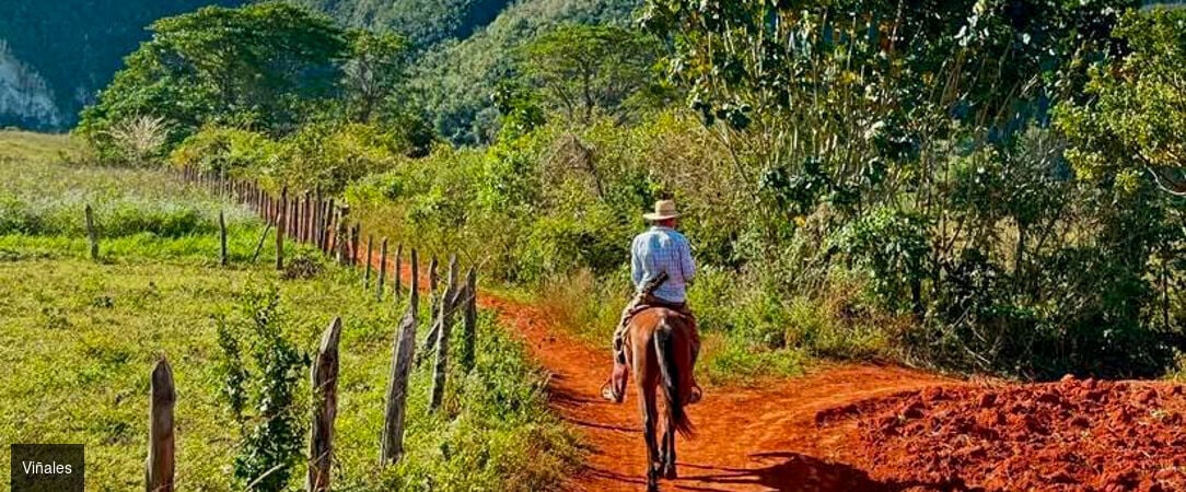 Immersion en trois temps à Cuba -  - Cuba : La Havane, Viñales & Varadero