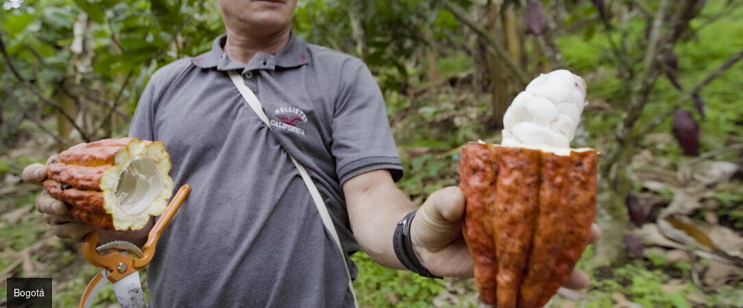 Colombie : villes, jungle et lagons - Circuit privé inoubliable de 10 ou 13 jours à travers la Colombie, de ses villes vibrantes à ses îles paradisiaques. - Colombie : des Andes aux Caraïbes