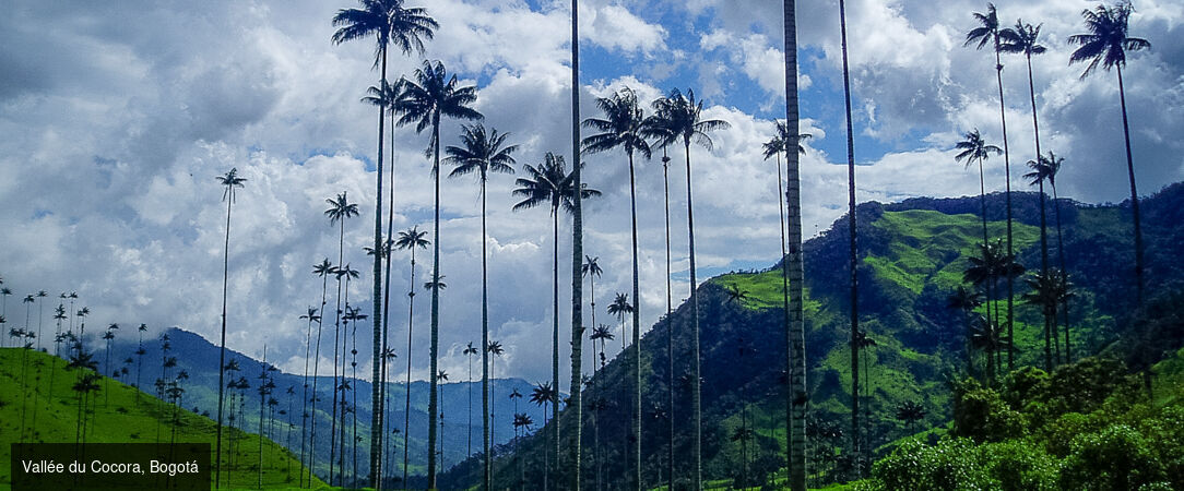 Colombie : villes, jungle et lagons - Circuit privé inoubliable de 10 ou 13 jours à travers la Colombie, de ses villes vibrantes à ses îles paradisiaques. - Colombie : des Andes aux Caraïbes