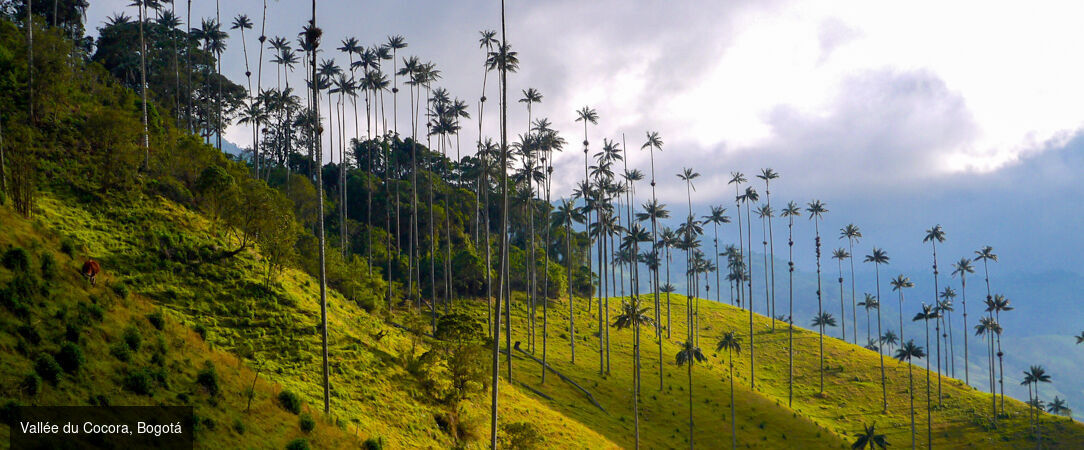 Colombie : villes, jungle et lagons - Circuit privé inoubliable de 10 ou 13 jours à travers la Colombie, de ses villes vibrantes à ses îles paradisiaques. - Colombie : des Andes aux Caraïbes