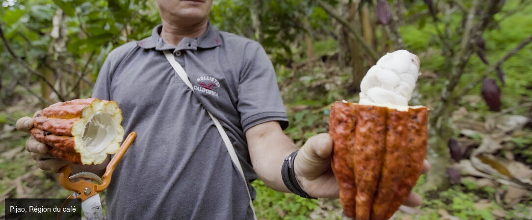 Colombie : villes, jungle et lagons - Circuit privé inoubliable de 10 ou 13 jours à travers la Colombie, de ses villes vibrantes à ses îles paradisiaques. - Colombie : des Andes aux Caraïbes