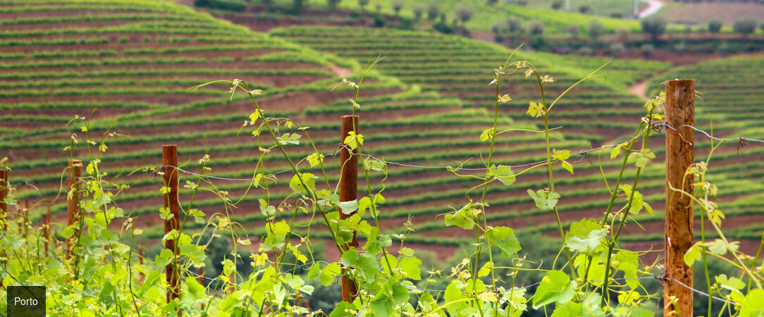 À la découverte du Portugal - Un itinéraire en liberté en voiture à travers le Portugal, entre palais, traditions et paysages typiques. - Portugal