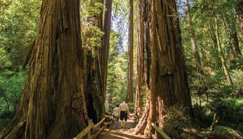 Les merveilles de l'ouest américain - Autotour de 15 jours dans les merveilles de l'Ouest américain, de Los Angeles aux grands parcs et jusqu'à Las Vegas. - États-Unis : Californie, Arizona, Utah, Nevada
