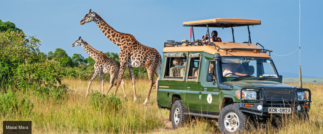 Voyage au cœur du Kenya -  - Kenya