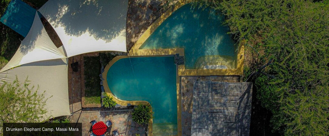 Voyage au cœur du Kenya -  - Kenya