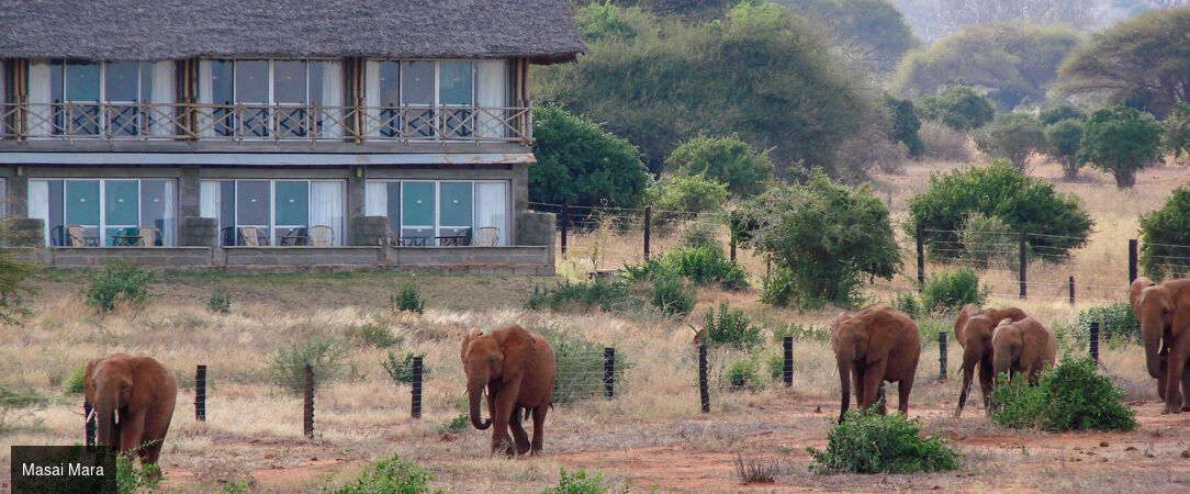 Voyage au cœur du Kenya -  - Kenya