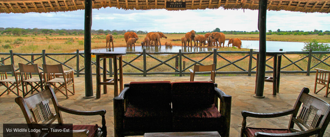 Voyage au cœur du Kenya -  - Kenya