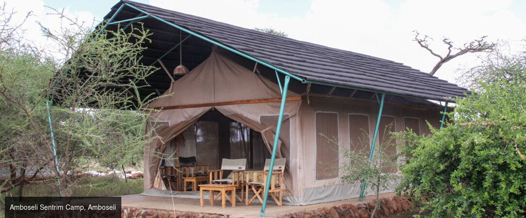 Voyage au cœur du Kenya -  - Kenya