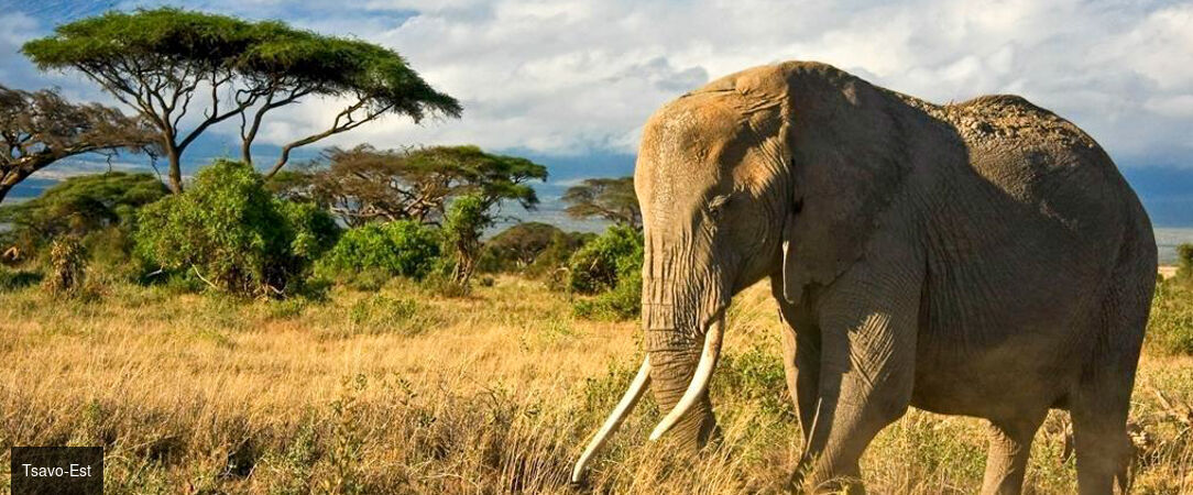 Voyage au cœur du Kenya -  - Kenya