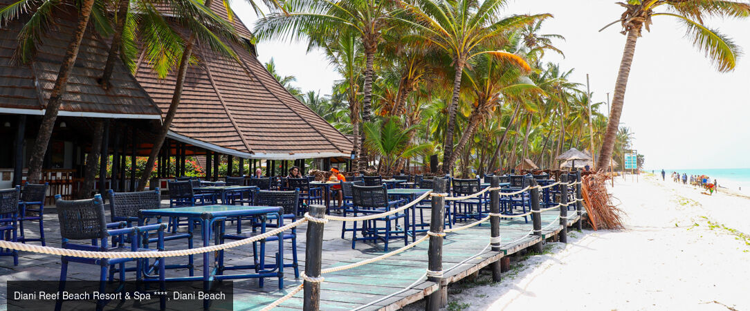 Voyage au cœur du Kenya -  - Kenya