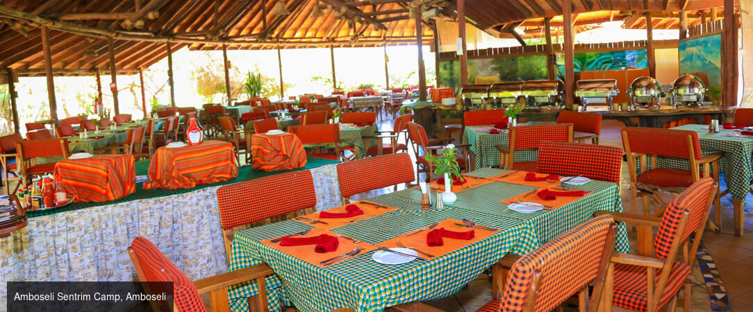 Voyage au cœur du Kenya -  - Kenya