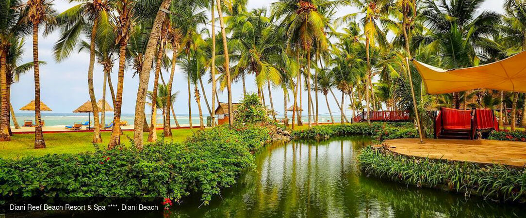 Voyage au cœur du Kenya -  - Kenya