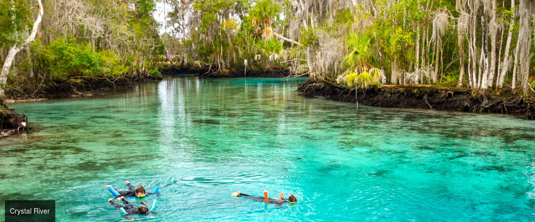Voyage au cœur des merveilles de Floride - Autotour de 14 nuits à travers la Floride, entre plages mythiques, parcs à thème et nature sauvage. - États-Unis : de Miami à Key Largo