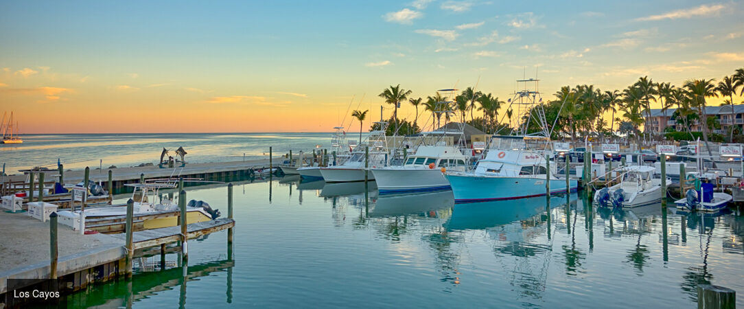 Voyage au cœur des merveilles de Floride - Autotour de 14 nuits à travers la Floride, entre plages mythiques, parcs à thème et nature sauvage. - États-Unis : de Miami à Key Largo