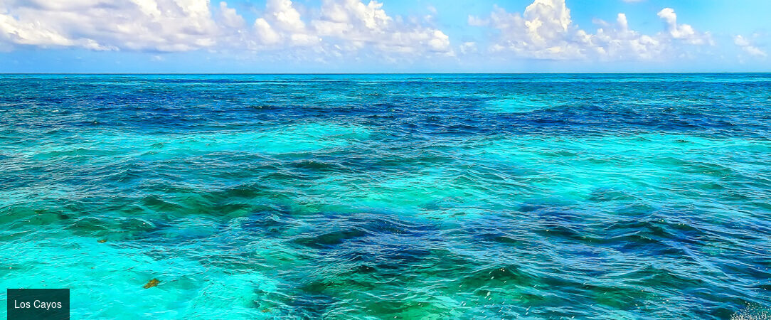 Voyage au cœur des merveilles de Floride - Autotour de 14 nuits à travers la Floride, entre plages mythiques, parcs à thème et nature sauvage. - États-Unis : de Miami à Key Largo