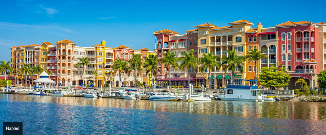Voyage au cœur des merveilles de Floride - Autotour de 14 nuits à travers la Floride, entre plages mythiques, parcs à thème et nature sauvage. - États-Unis : de Miami à Key Largo