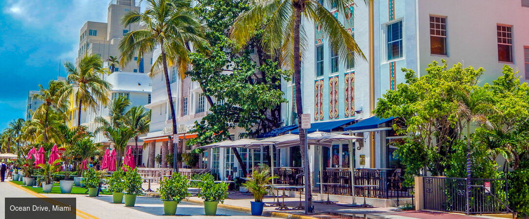 Voyage au cœur des merveilles de Floride - Autotour de 14 nuits à travers la Floride, entre plages mythiques, parcs à thème et nature sauvage. - États-Unis : de Miami à Key Largo