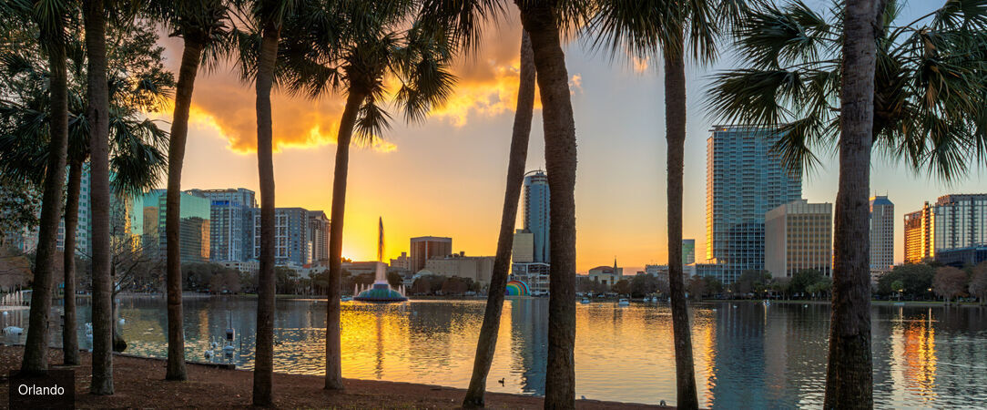 Voyage au cœur des merveilles de Floride - Autotour de 14 nuits à travers la Floride, entre plages mythiques, parcs à thème et nature sauvage. - États-Unis : de Miami à Key Largo