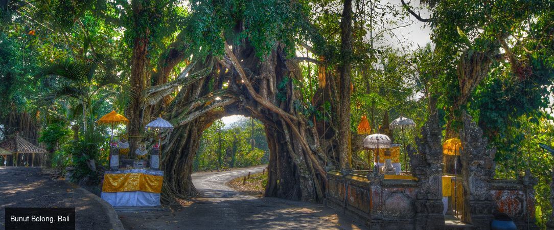 Bali & Java : Voyage entre deux îles - Un circuit privatif inoubliable de 7 nuits entre rizières, volcans, plages sauvages et villages authentiques de l’Est de Java. - Indonésie : Bali & Java