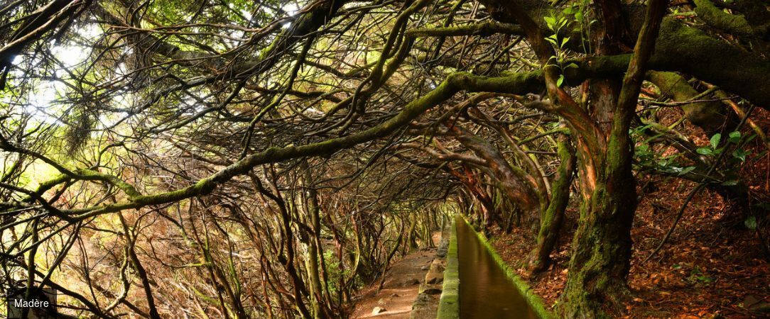 Madère : sur la route de l’île aux fleurs -  - Madère, Portugal