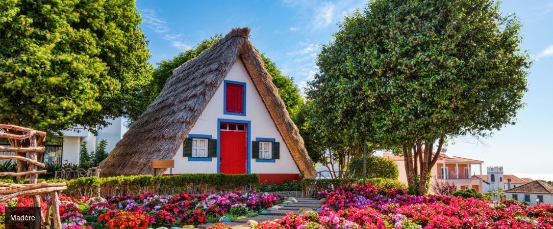 Madère : sur la route de l’île aux fleurs -  - Madère, Portugal