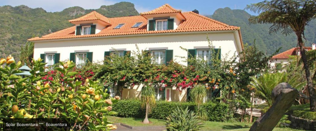 Madère : sur la route de l’île aux fleurs -  - Madère, Portugal