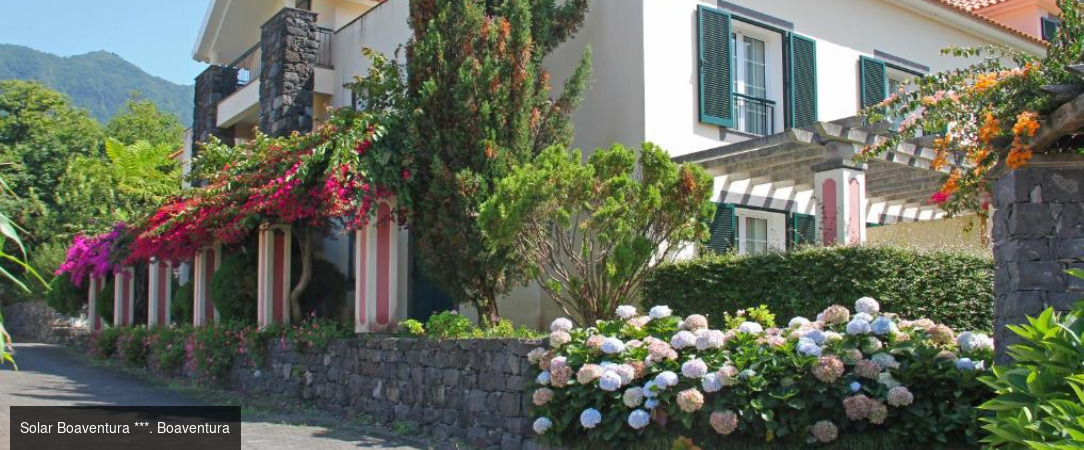 Madère : sur la route de l’île aux fleurs -  - Madère, Portugal