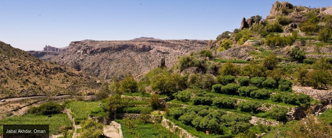 Les Incontournables d'Oman -  - Oman : Mascate, Nizwa, Wahiba Sands & Ras Al Jinz