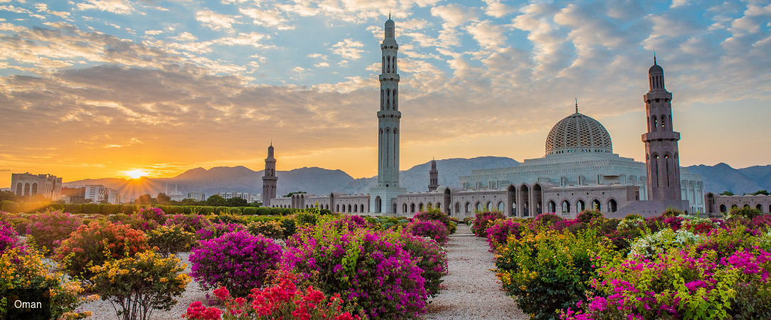 Les Incontournables d'Oman -  - Oman : Mascate, Nizwa, Wahiba Sands & Ras Al Jinz