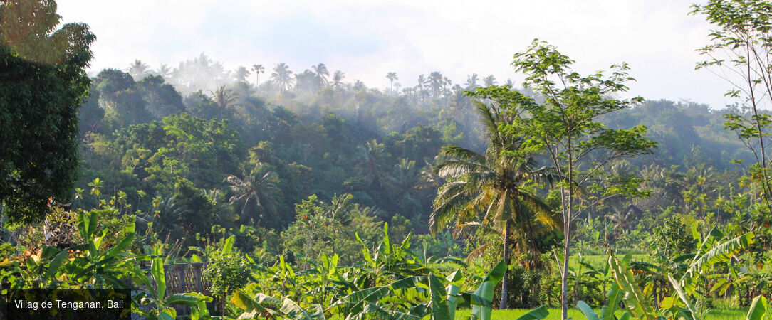 Culture et patrimoine Balinais - Circuit privé de 7 jours, au cœur de la culture et des traditions balinaises. - Indonésie : Ubud, Bangli & Jimbaran