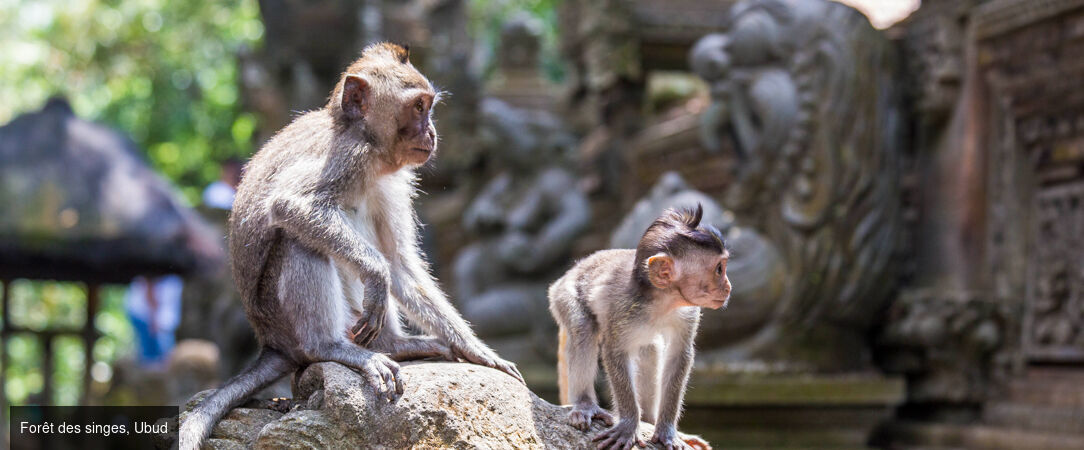 Culture et patrimoine Balinais - Circuit privatif de 7 nuits, au cœur de la culture et des traditions balinaises. - Indonésie : Ubud, Bangli & Jimbaran