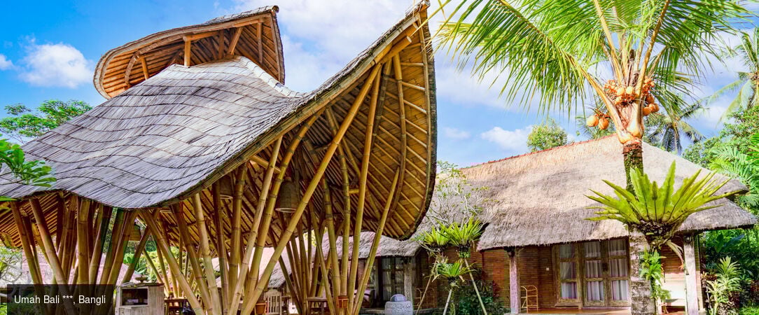 Culture et patrimoine Balinais -  - Indonésie : Ubud, Bangli & Jimbaran