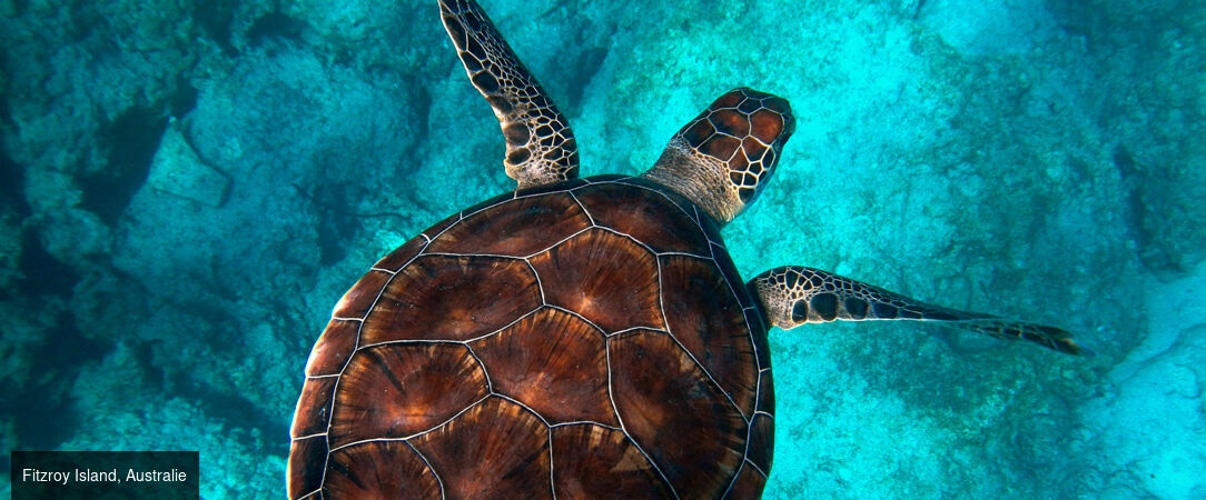 Modernité de Singapour et horizons d'Australie - Circuit de 14 jours entre la modernité étincelante de Singapour et les merveilles naturelles de l’Australie, de Sydney à la Grande Barrière de Corail. - Singapour & Australie