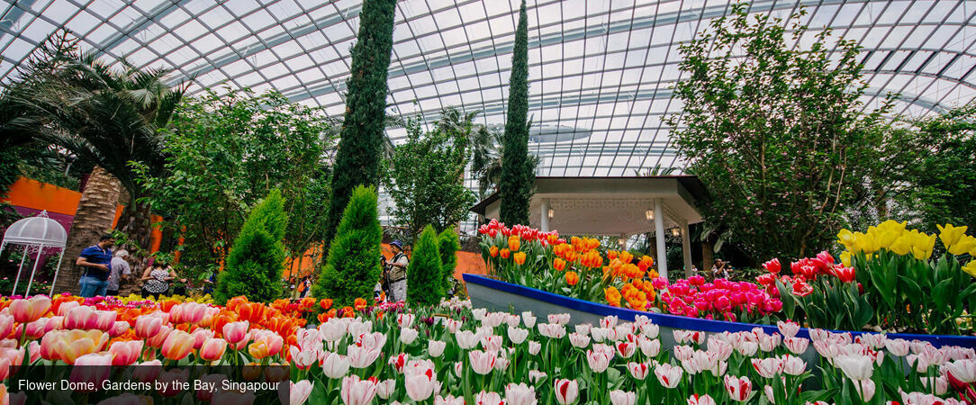 Modernité de Singapour et horizons d'Australie - Circuit de 14 jours entre la modernité étincelante de Singapour et les merveilles naturelles de l’Australie, de Sydney à la Grande Barrière de Corail. - Singapour & Australie