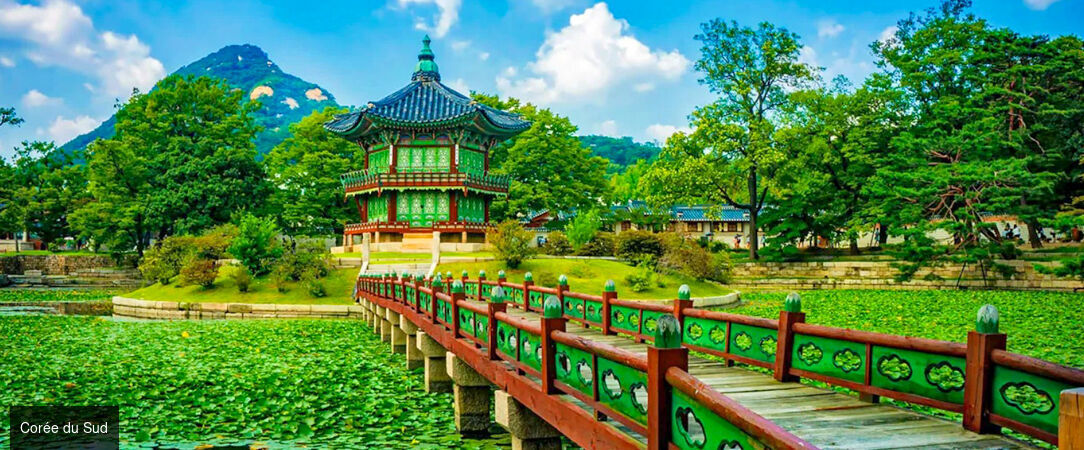 Les immanquables du Japon et de la Corée - Combiné de 12 ou 15 jours entre mégapoles vibrantes, temples ancestraux et expériences authentiques au Japon et en Corée du Sud. - Japon & Corée du Sud : de Tokyo à Séoul