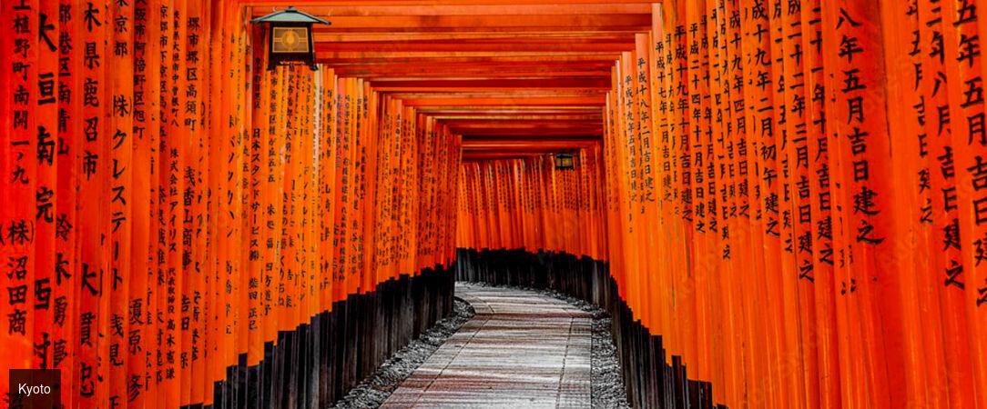 Les immanquables du Japon et de la Corée - Combiné de 12 ou 15 jours entre mégapoles vibrantes, temples ancestraux et expériences authentiques au Japon et en Corée du Sud. - Japon & Corée du Sud : de Tokyo à Séoul