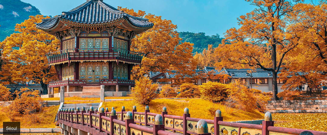 Les immanquables du Japon et de la Corée - Combiné de 12 ou 15 jours entre mégapoles vibrantes, temples ancestraux et expériences authentiques au Japon et en Corée du Sud. - Japon & Corée du Sud : de Tokyo à Séoul