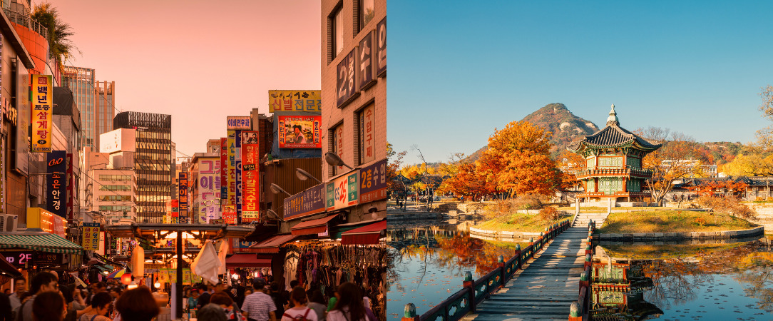 Les immanquables du Japon et de la Corée - Combiné de 12 ou 15 jours entre mégapoles vibrantes, temples ancestraux et expériences authentiques au Japon et en Corée du Sud. - Japon & Corée du Sud : de Tokyo à Séoul